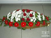 Cveće