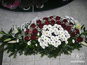 Cveće