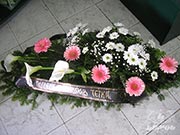 Cveće